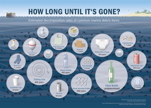 Plastic life infographic