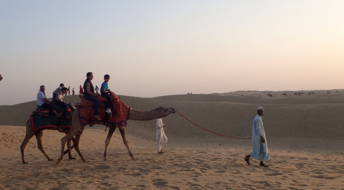 The cruel case of the Jaisalmer Camel 