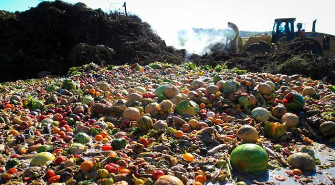 Tackling Food Waste: Can the Aussies Catch up with France?